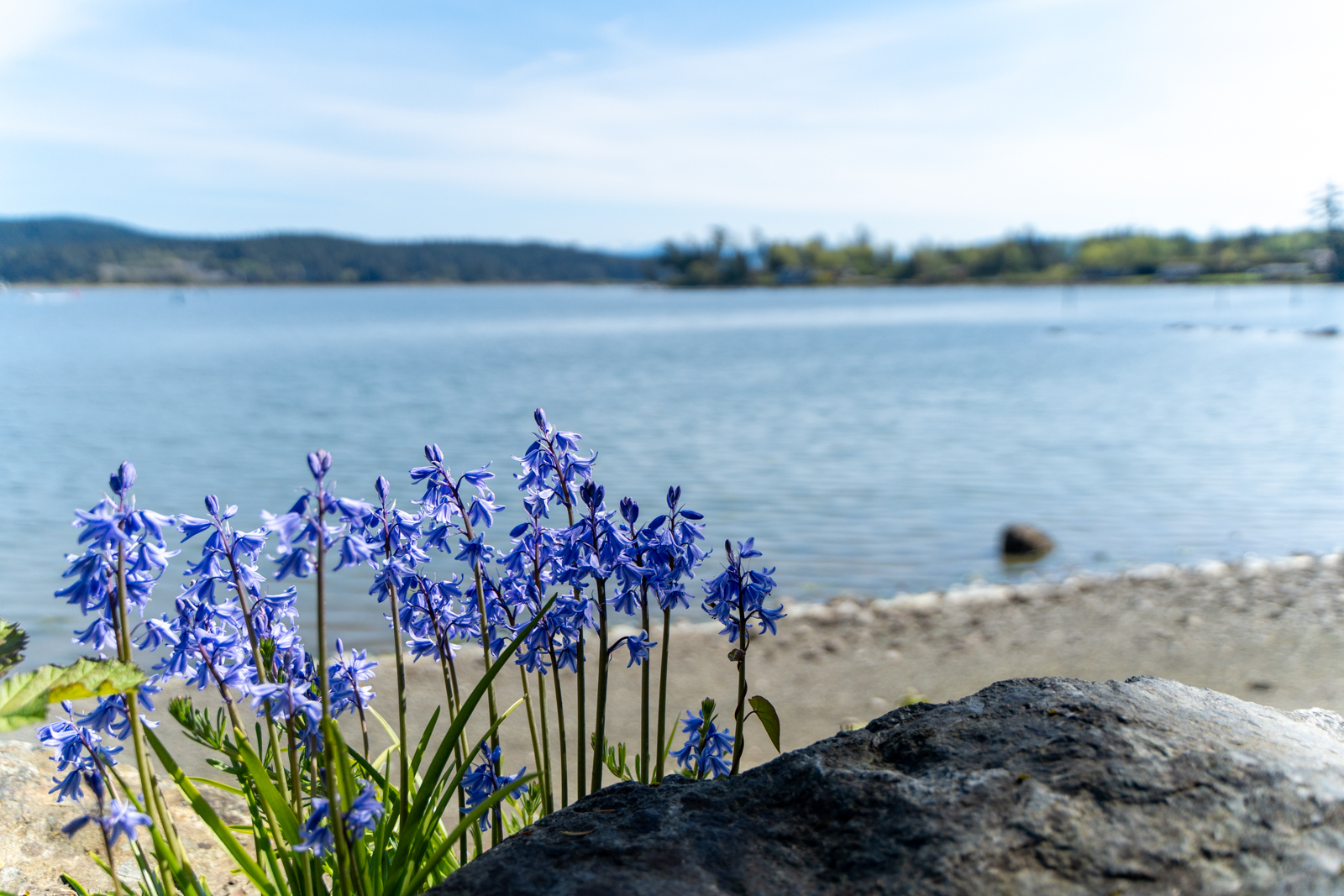 Sooke Harbour Resort